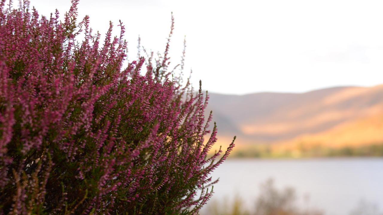Torlinnhe Fort William Dış mekan fotoğraf